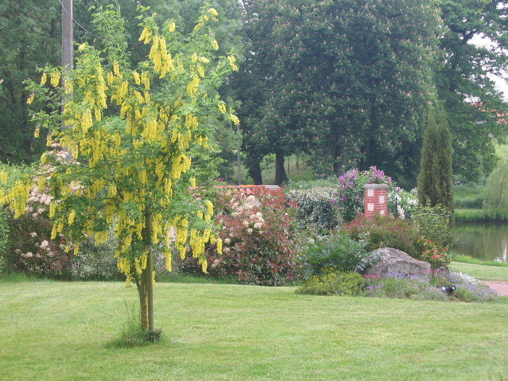 La Minaudiere Nueil-sous-les-Aubiers Exterior foto